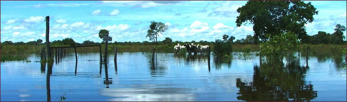 Reise-Bausteine Brasilien - Pantanal – Natur pur